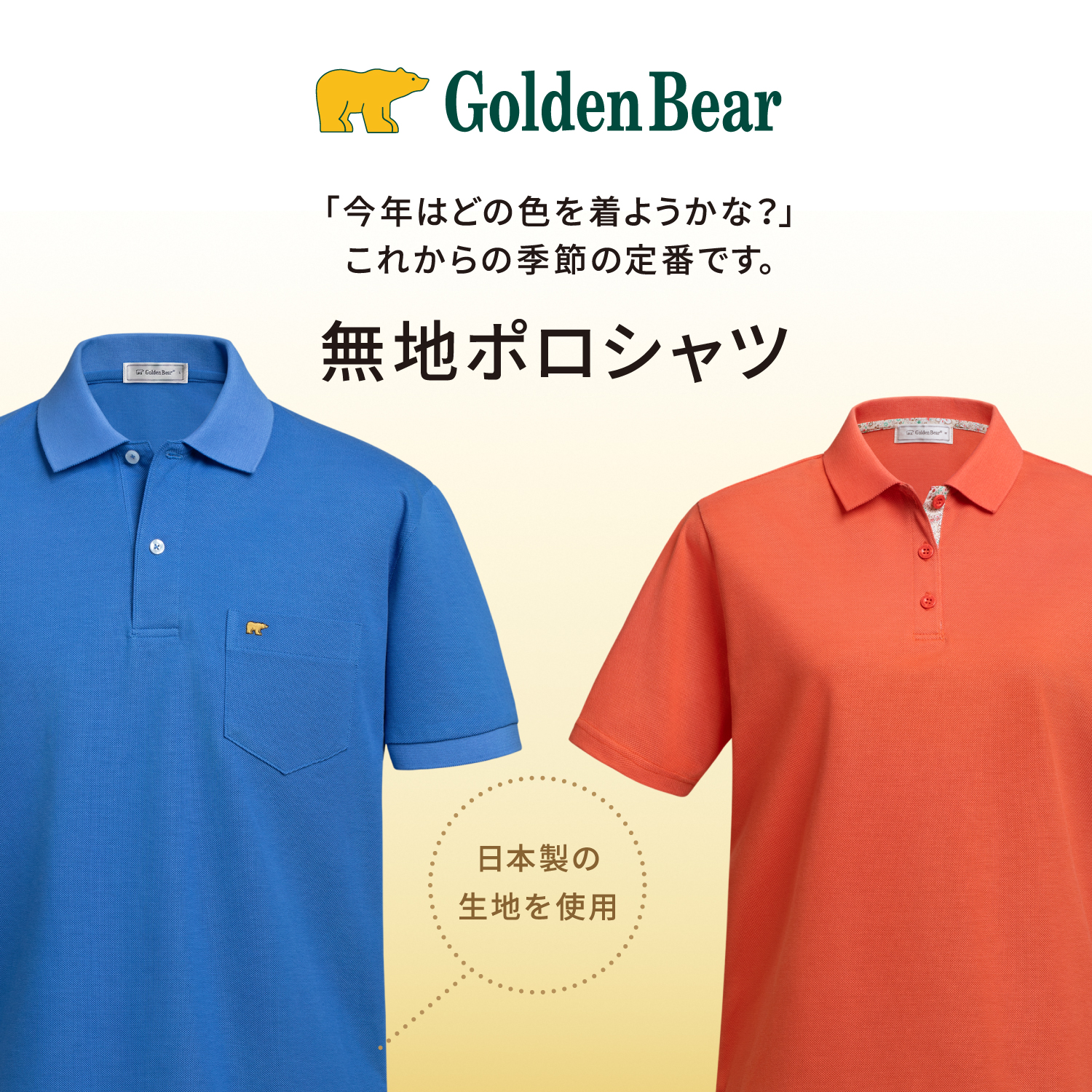 Golden Bear　新聞広告掲載　無地ポロシャツ