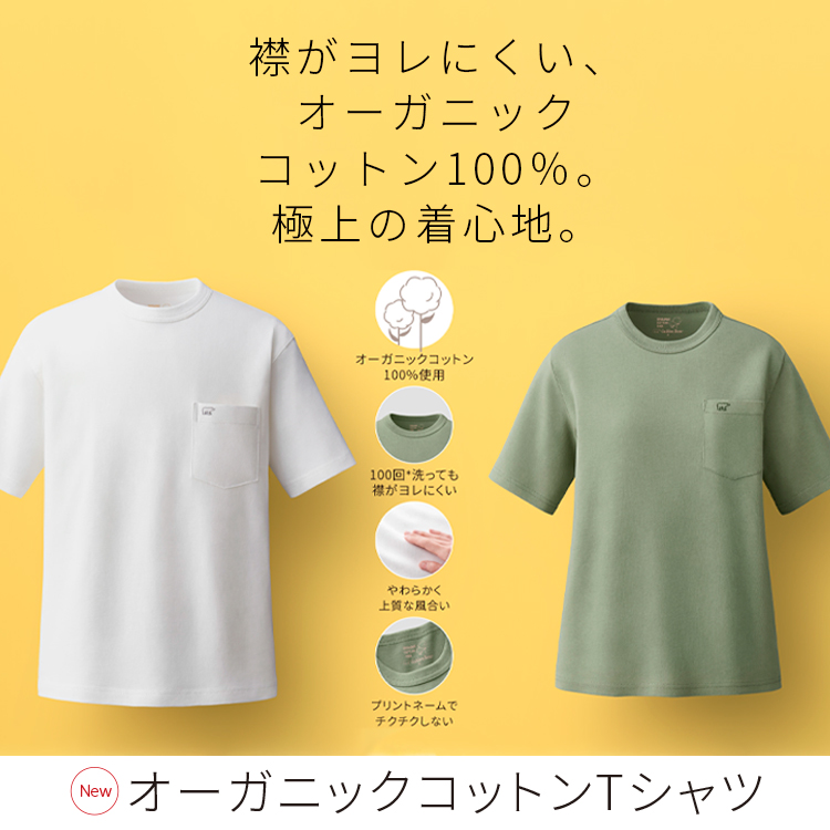 Golden Bear　</br>【新聞広告掲載】オーガニックコットンTシャツ