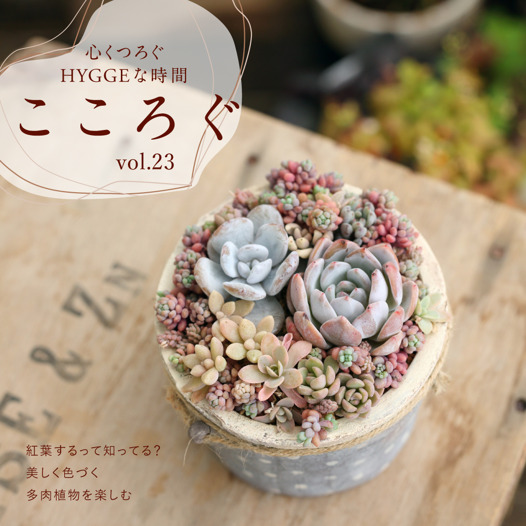 Marisa Grace  -心くつろぐHYGGEな時間- こころぐ vol.22